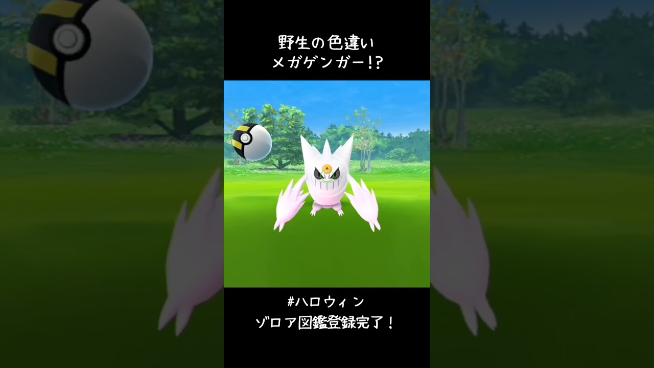 野生の色違いメガゲンガーだと!?このイベント楽しすぎる🤩ゾロア図鑑登録完了✍️#ポケモンGO #ハロウィン
