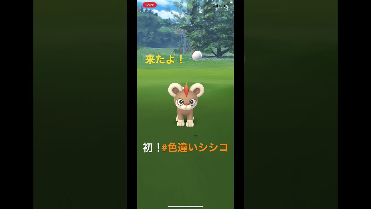 探してただけに嬉しい♪#シシコ　#色違い #ポケモンgo #ゲットチャレンジ