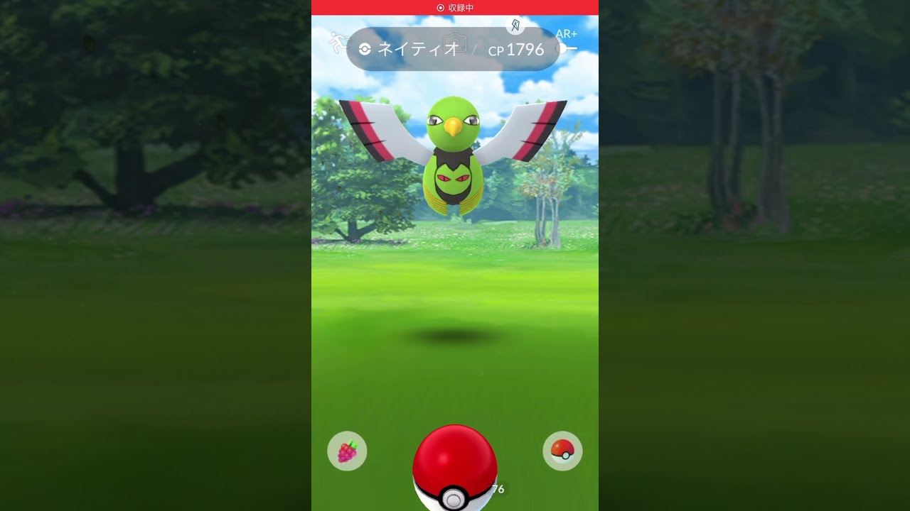 ポケモンGO ネイティオ　Pokémon GO