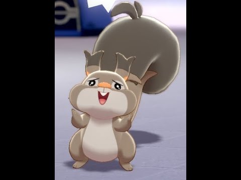 【ポケモン剣盾】ホシガリスの可能性・・・