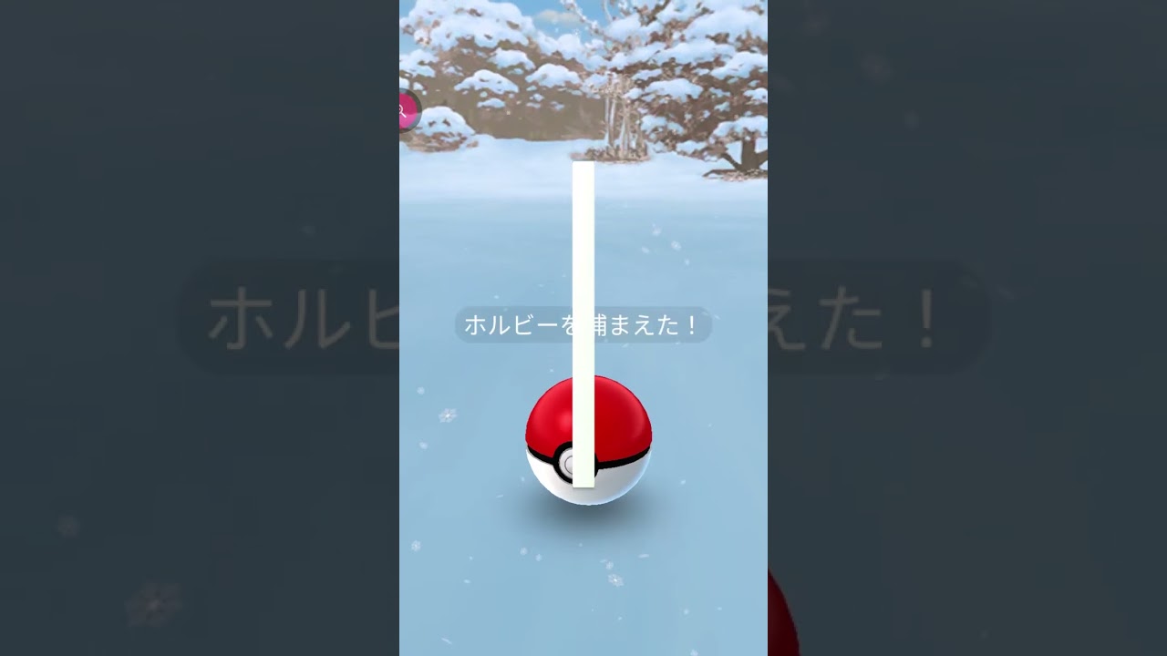 ＃shorts◇雪景色の中のホルビー＃319