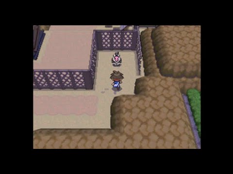 【木曜日限定】４番道路の隠れ特性バルジーナ　ポケモン　ブラック２