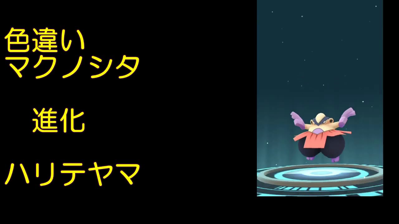 色違いマクノシタ進化ハリテヤマ【ポケモンGO】