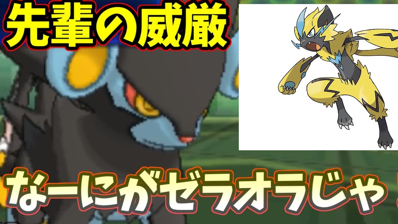 【ポケモンＵＳＭ】”ゼラオラ”よりもかっこよくて強いレントラー先輩