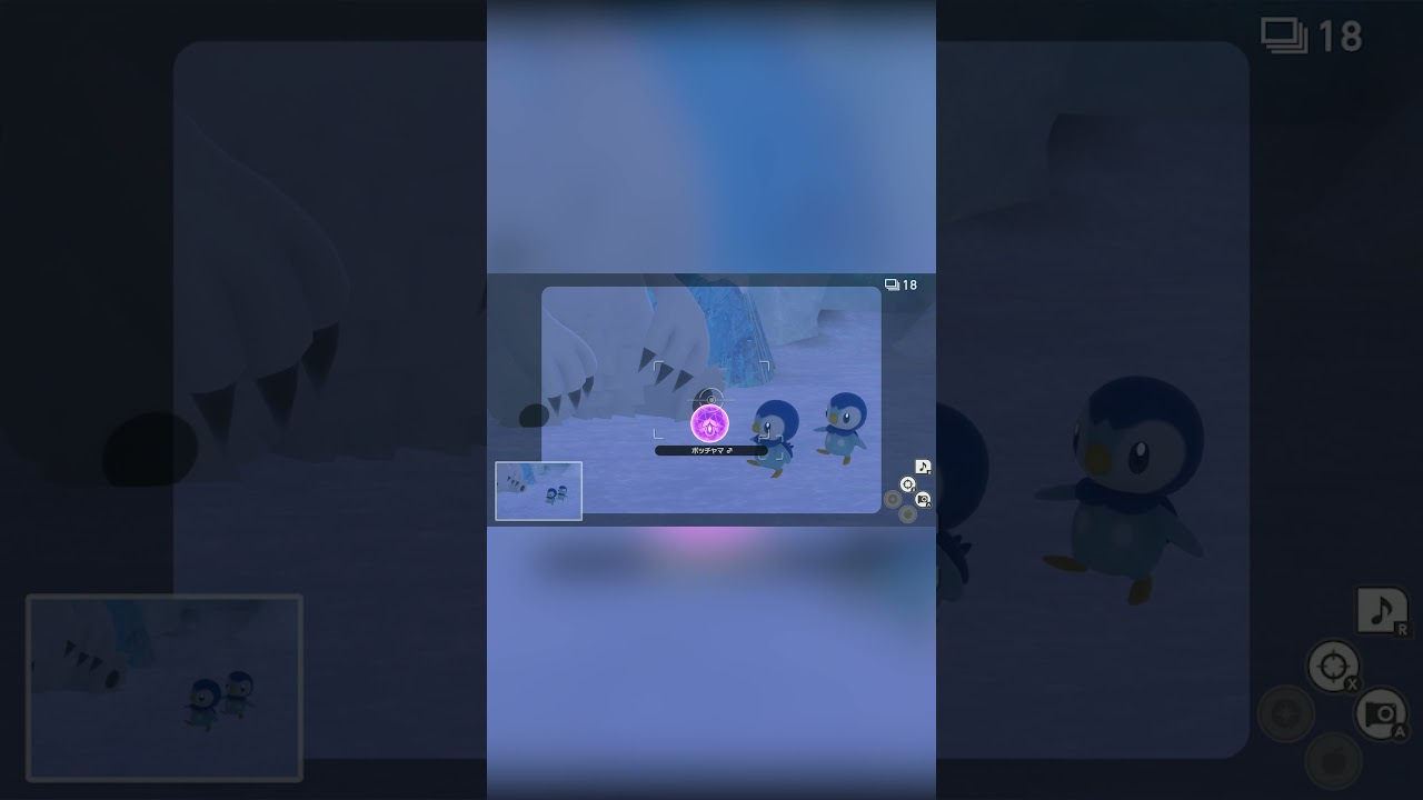 【Newポケモンスナップ NEW POKÉMON SNAP】ポッチャマを見守るツンベアー #shorts
