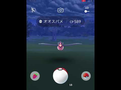 【ポケモンGO】初めて、野生のオオスバメに遭遇！