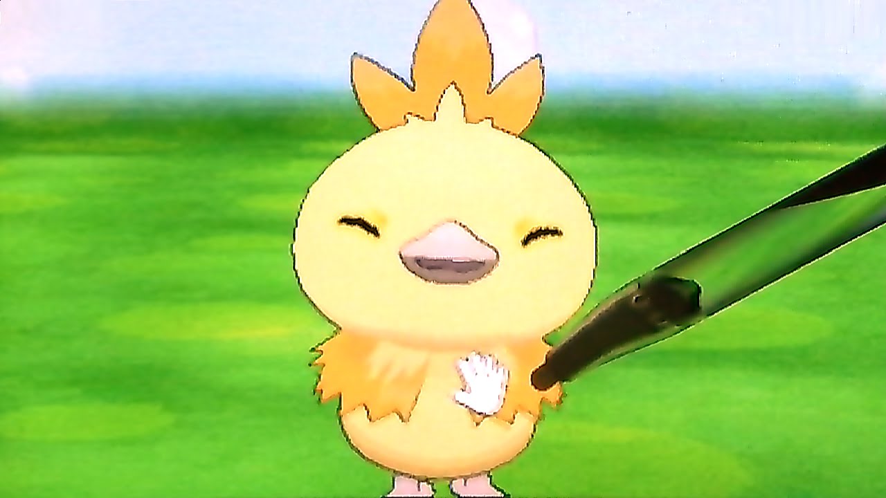 【ポケモンXY】 ポケパルレ　色違いアチャモ♪　【超絶かわいい(*´ω｀*)色違い御三家】 Shiny Torchic Pokemon Amie Pokemon X and Y