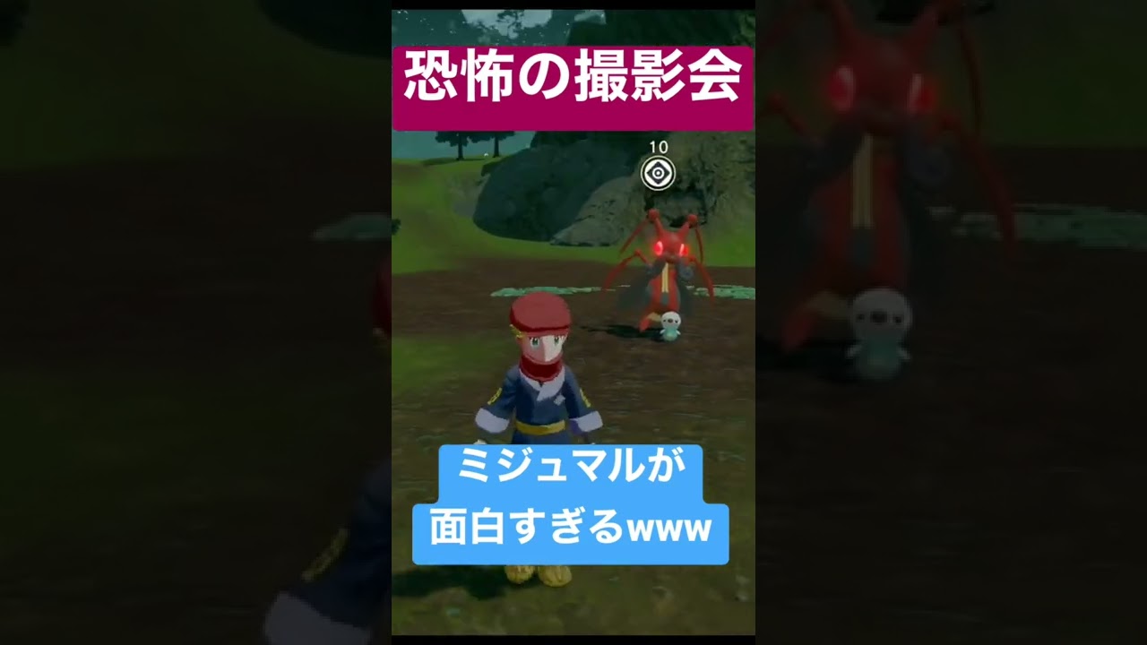 ミジュマルとコロトックの撮影会行ってみた！ #shorts #ゲーム実況 #ポケモン #ポケモンアルセウス #初見さん大歓迎 #おすすめ #アルセウス