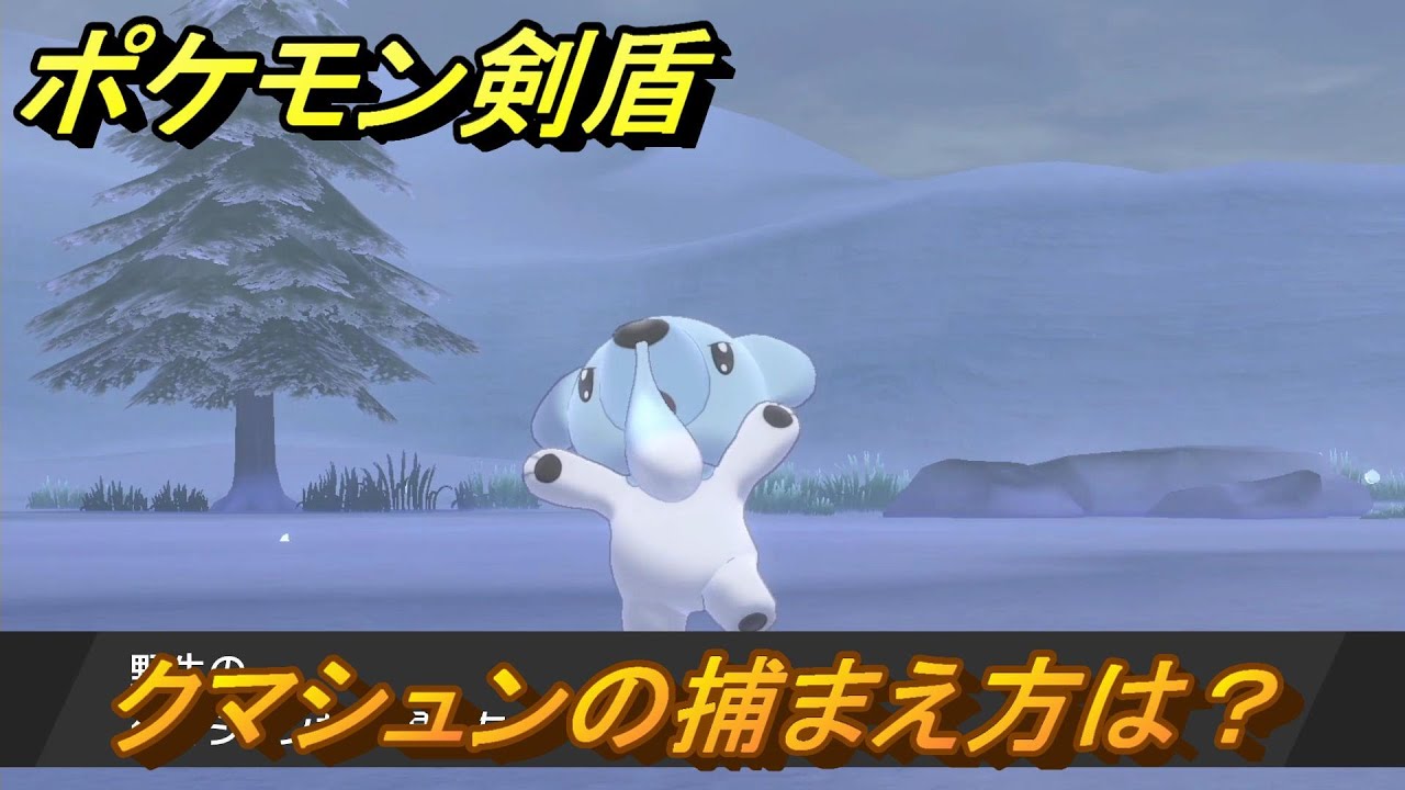 ポケモン剣盾　クマシュンを捕まえる方法！オススメの場所は？天気は？ポケモン図鑑コンプへの道！　最新版【ポケモンソード・シールド】
