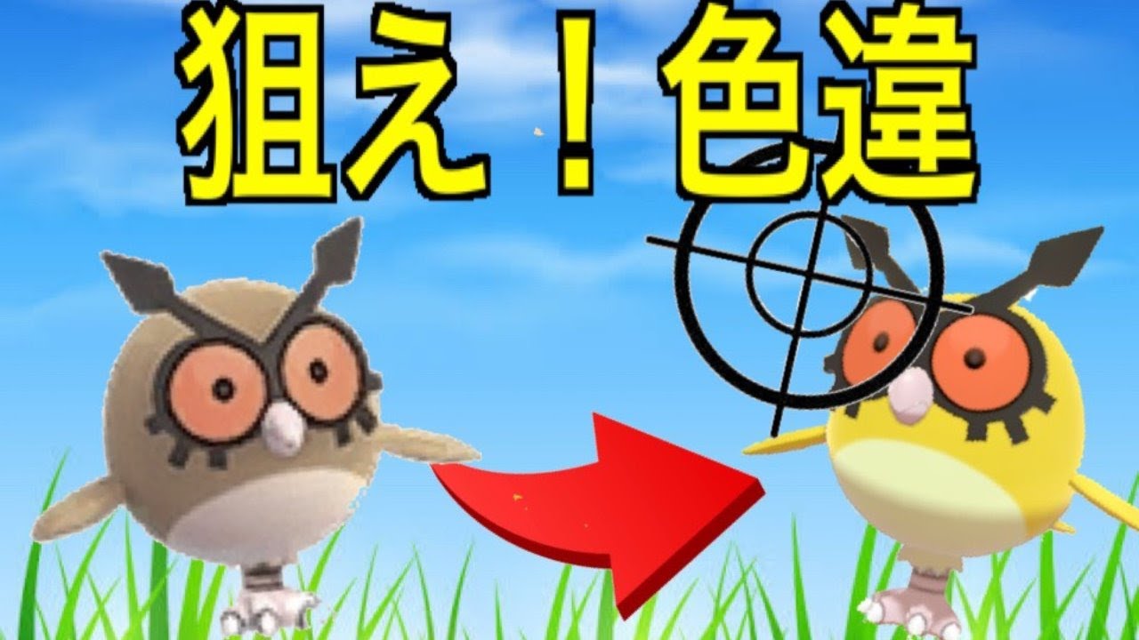 ホーホー色違い狙い！　ポケモン剣(ソード)　＃8