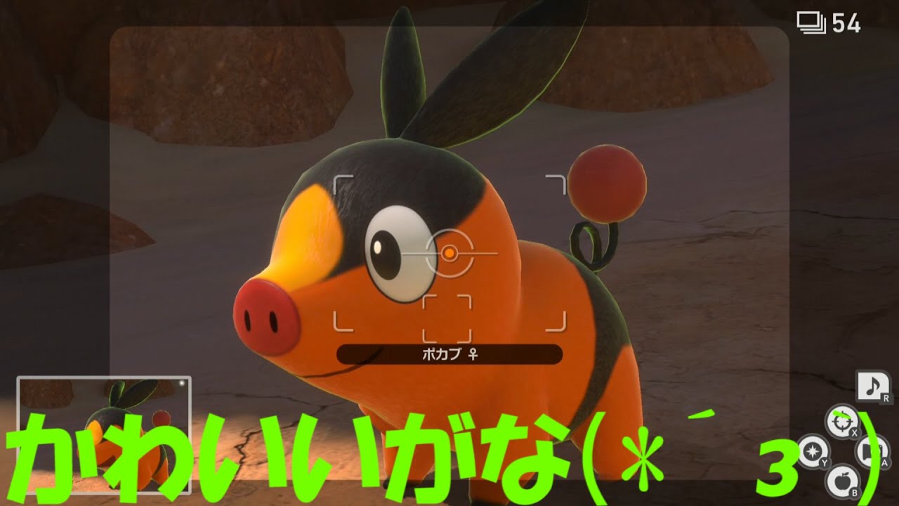 ポカブかわいい(*´з`)/【ポケモンスナップ】part78 #Shorts