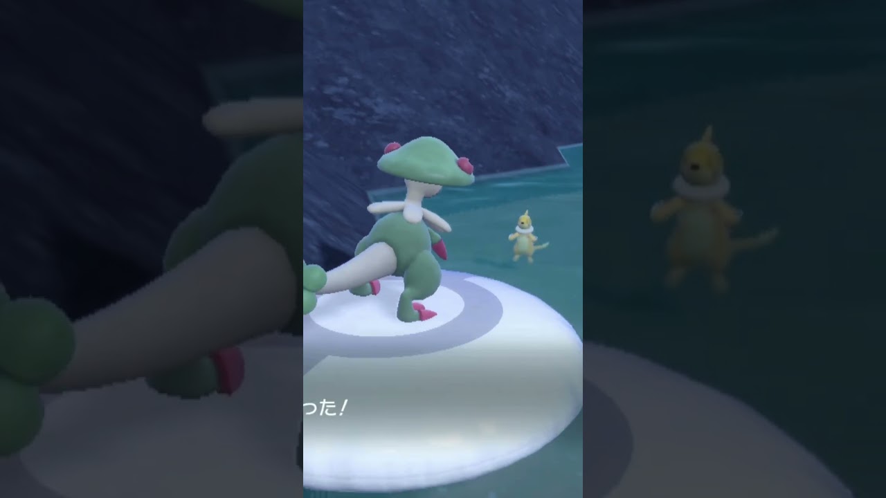 自然遭遇:色違いブイゼル編(*'v'*)