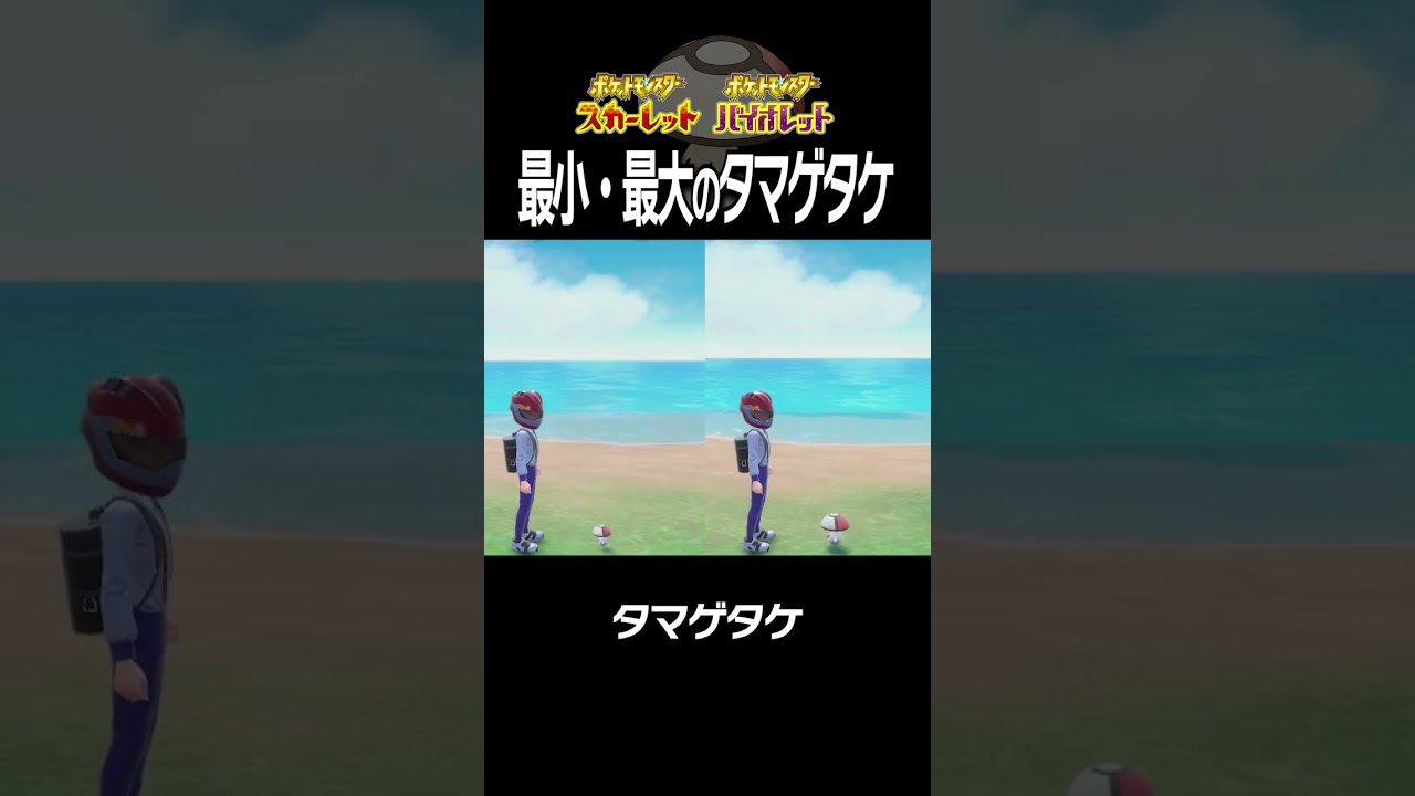 【大きさ比較】タマゲタケ編【ポケモンSV】#Shorts