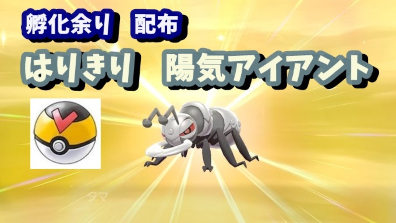 ポケモン剣盾　孵化余り配布　陽気アイアント＆ヒドイデ
