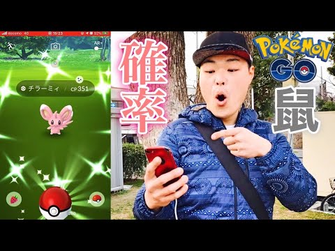 【ポケモンGO】チラーミィのリサーチデイ開催(限定タスク)色違いの確率はどうやった⁉︎ 〖pokemonGO〗