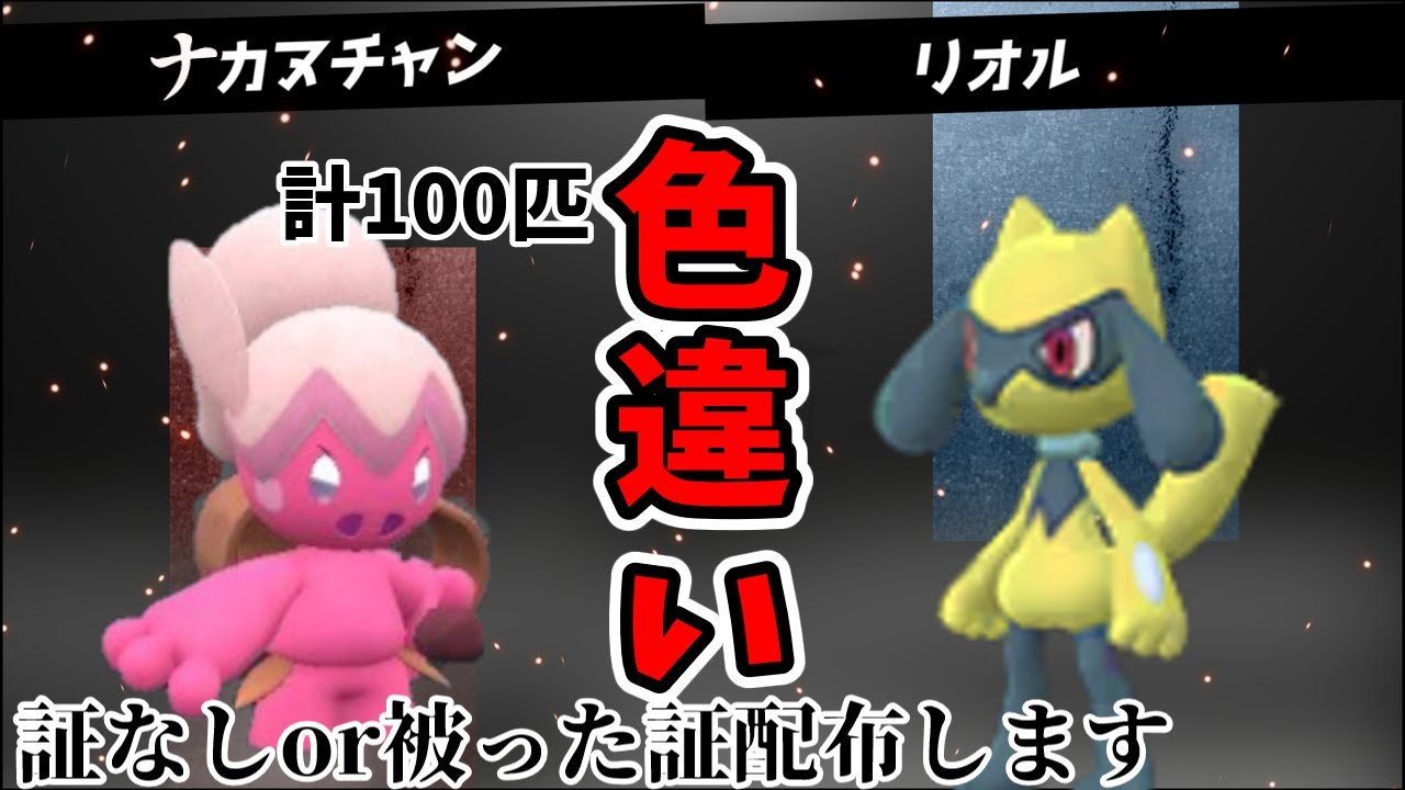 【100匹集まったら証なしは配布】♯4！リオル、ルカリオ、ナカヌチャンの色違いを計100匹集める配信！！！19匹目から~【ポケモンSV】