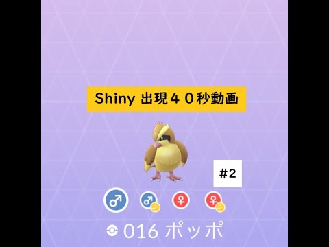 【ポケモンGO】色違い 出現40秒動画 ＃016 ポッポ② ☆shiny☆#Shorts