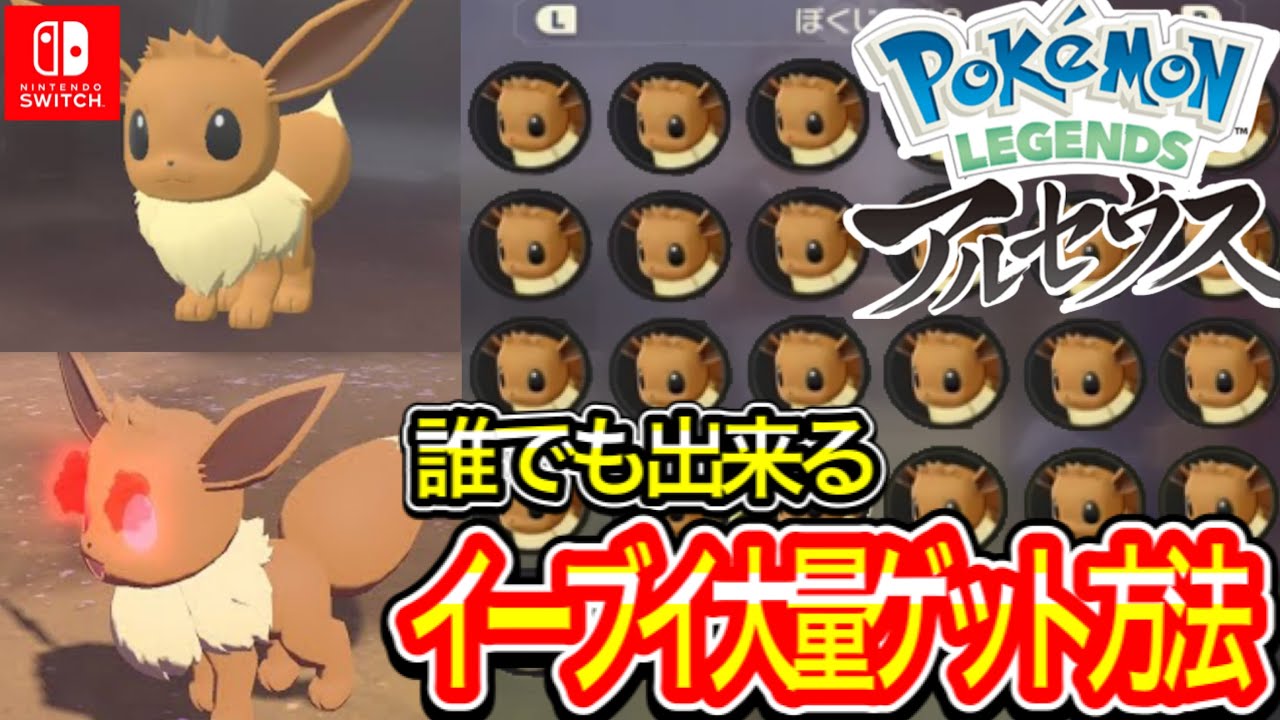 徹底解説【Pokémon LEGENDS アルセウス】誰でも簡単にイーブイとオヤブンイーブイをゲットする方法を詳しく解説。