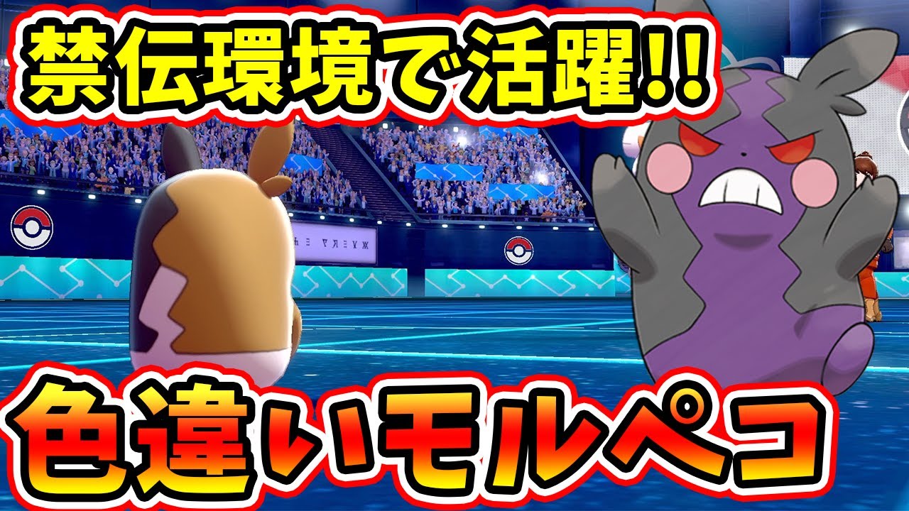 きみに決めた！色違い『モルペコ 』でヤバすぎる禁伝環境をぶった切る！！【ポケモン】【ポケモン剣盾】