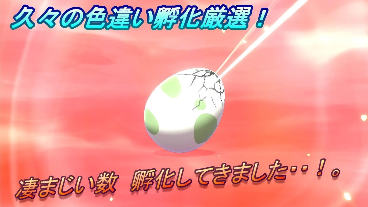 『ポケモン剣盾』狙え！色違いニャビー！！『shiny pokemon』