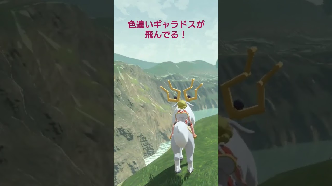 色違いギャラドスが飛んでた #shorts