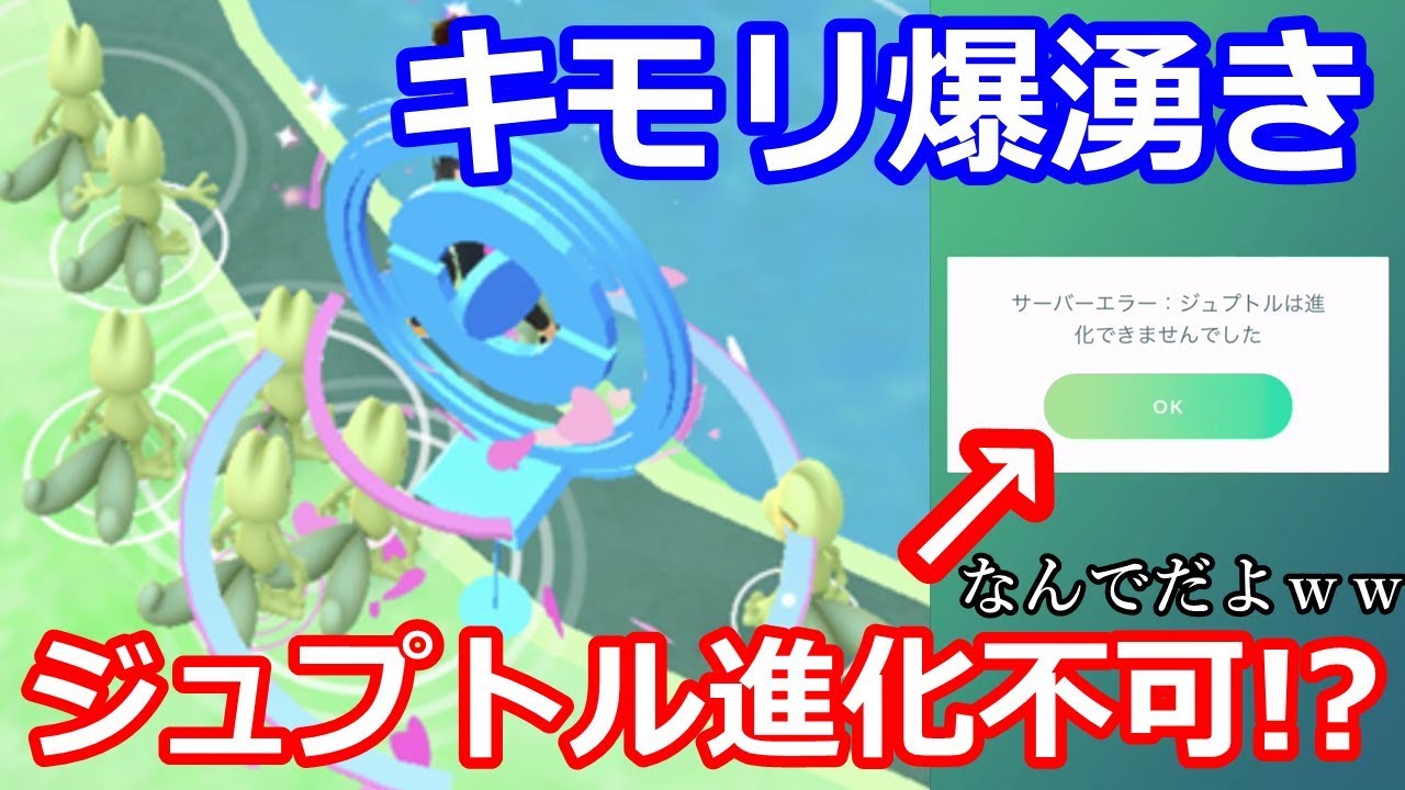 大波乱のキモリコミュデイでまた何かを引き寄せてしまう男【ポケモンGO】