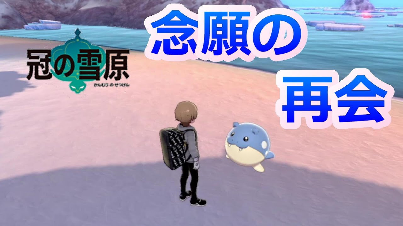 【冠の雪原】ついにタマザラシが解禁されました！！【剣盾DLC】