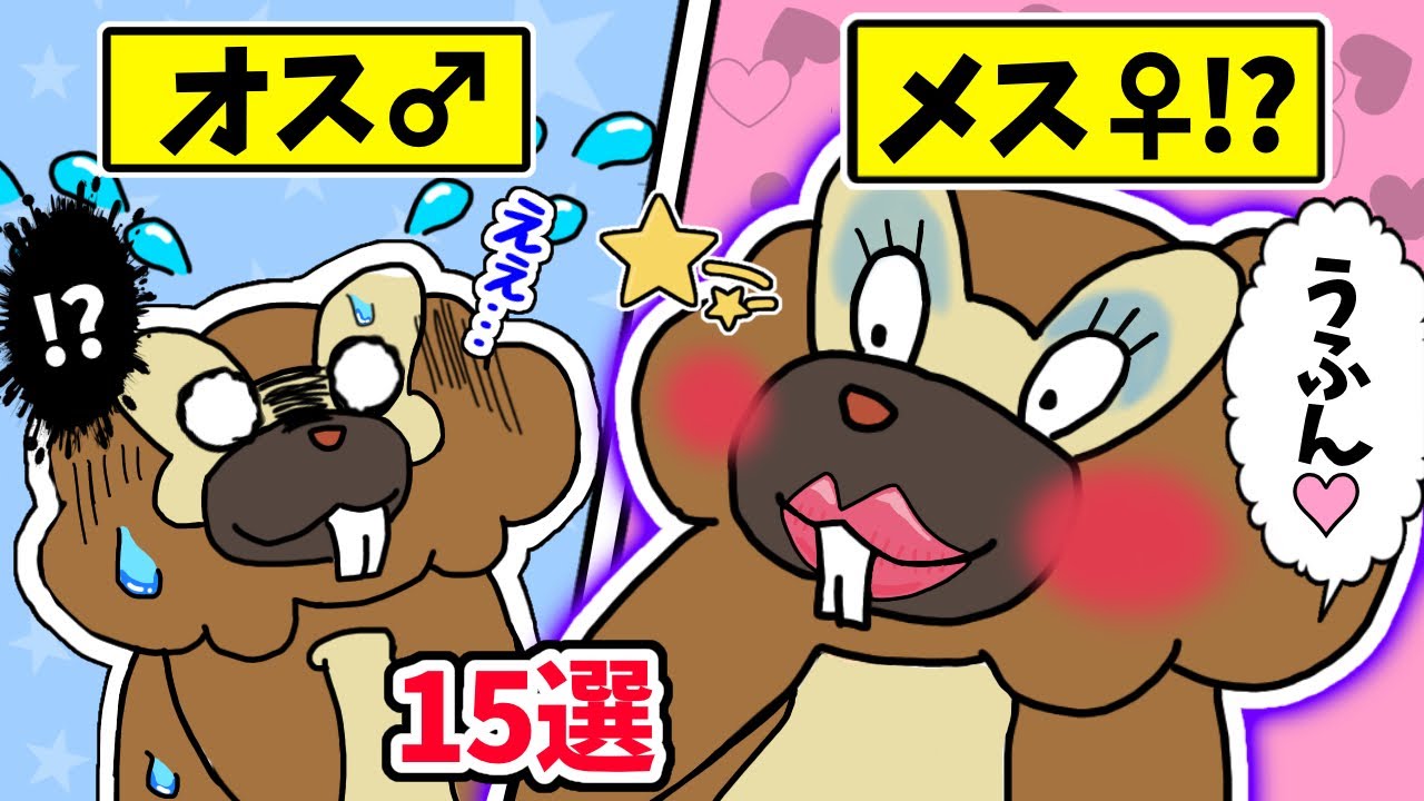 オスとメスで微妙に姿が違うポケモン15選