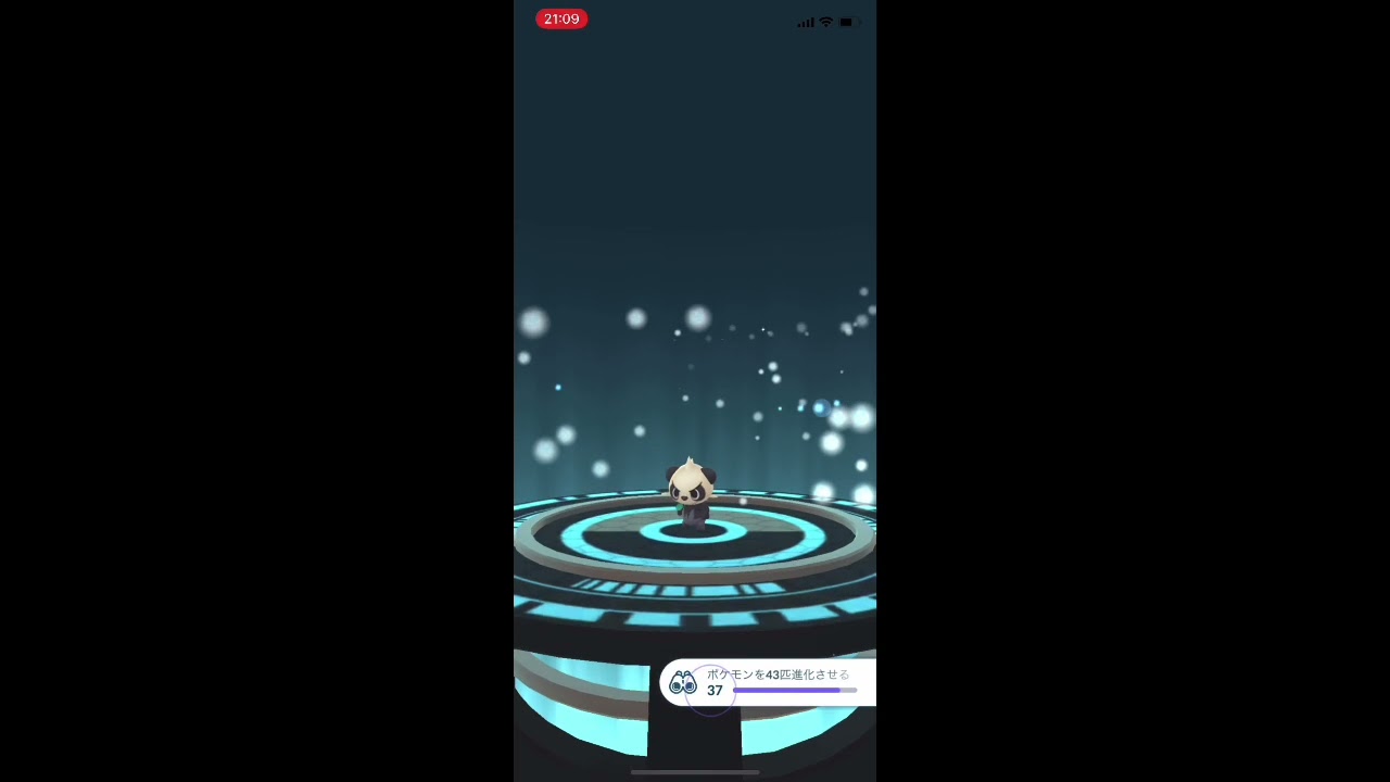 【ポケモンGO】ヤンチャムをゴロンダに進化！ #shorts