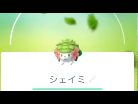 【ポケモンGO】シェイミ 個体値チャレンジ
