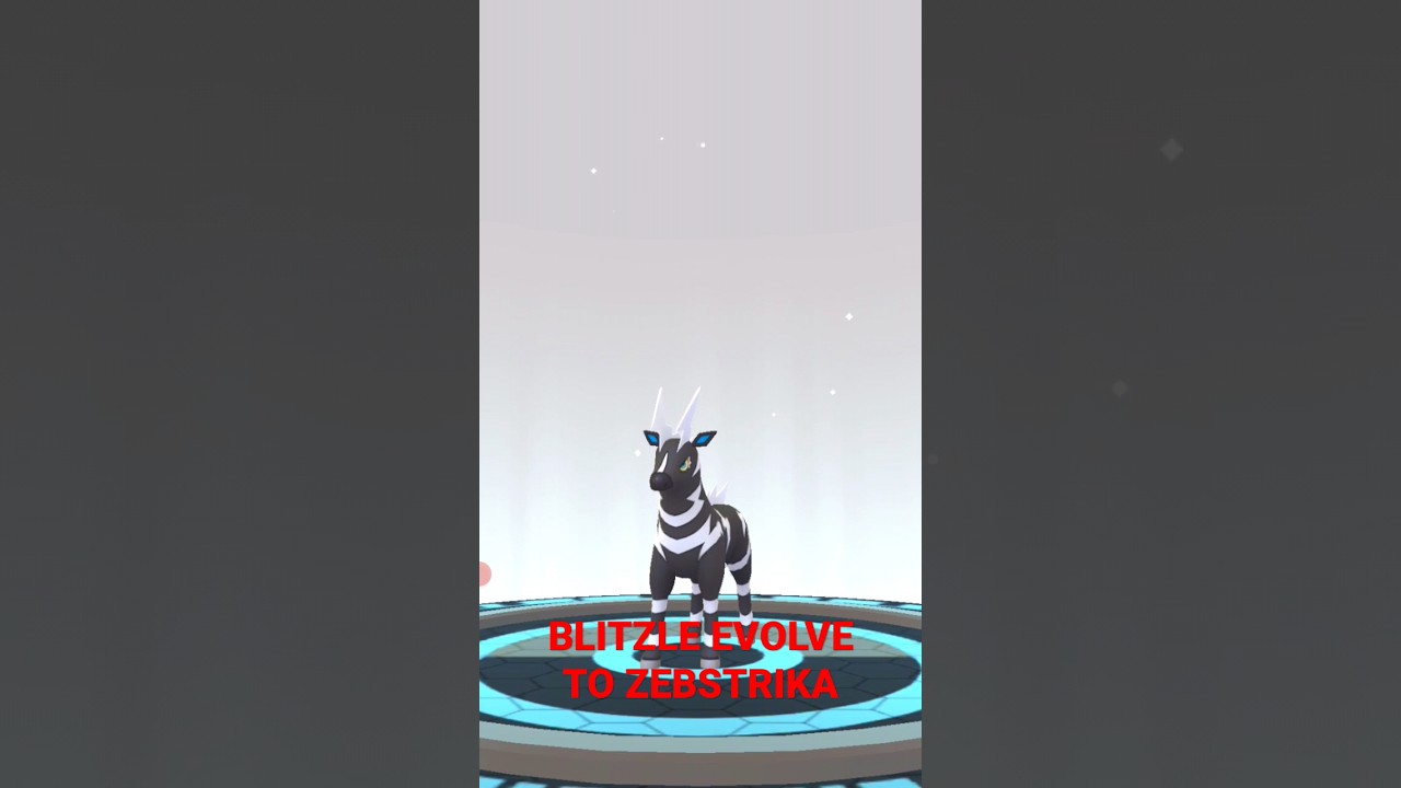 BLITZLE EVOLVE TO ZEBSTRIKA#shorts#pokemongo