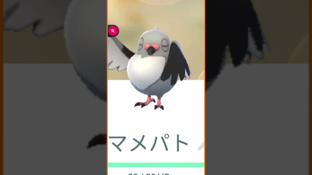 ＃shorts◇雪景色の中のマメパト＃323