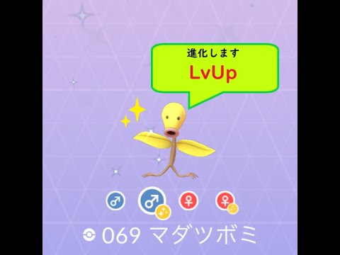 【ポケモンGO】色違い進化(LvUp)動画 マダツボミ➡ウツドン➡ウツボット☆shiny☆#Shorts