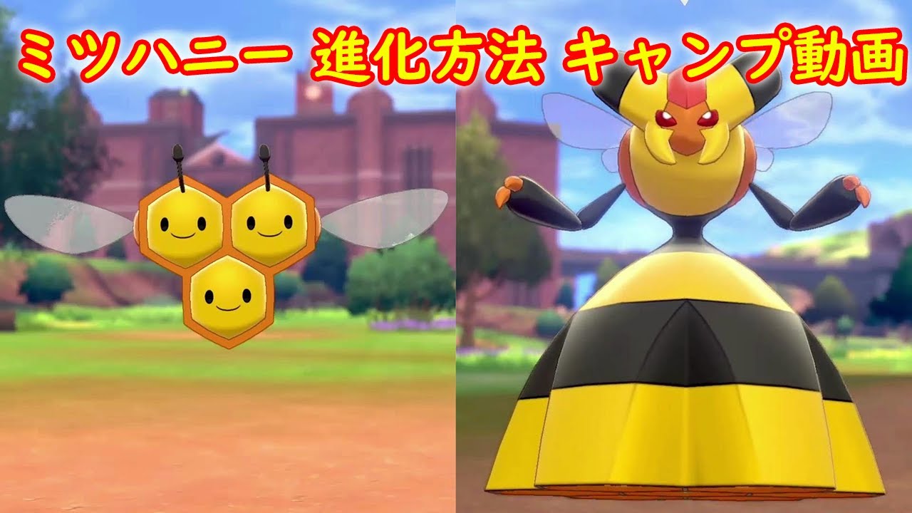 【ミツハニー → ビークイン】進化方法 攻略 + キャンプで遊ぶ【ポケモン ソード シールド ポケモン剣盾】