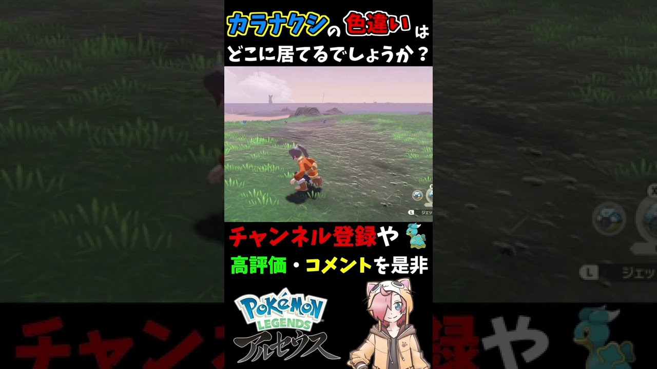 【色違い探し】中級編 カラナクシの色違いはどこに居てるでしょうか？【Pokémon LEGENDS】【ポケモン アルセウス】#Shorts