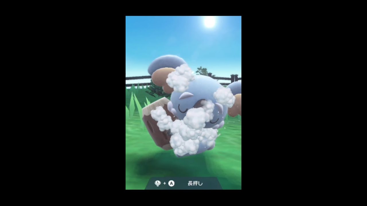 ネッコアラを洗うだけの動画 [ ポケモンSV Pokemon Wash Scarlet & Violet ] #Komala #树枕尾熊 #Koalelu #Dodoala #자말라 #Shorts