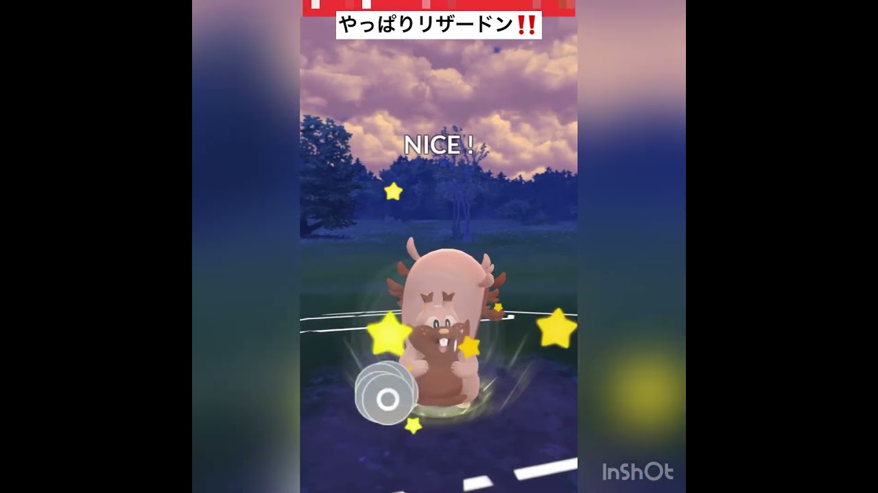 ヨクバリス使ってみた‼️