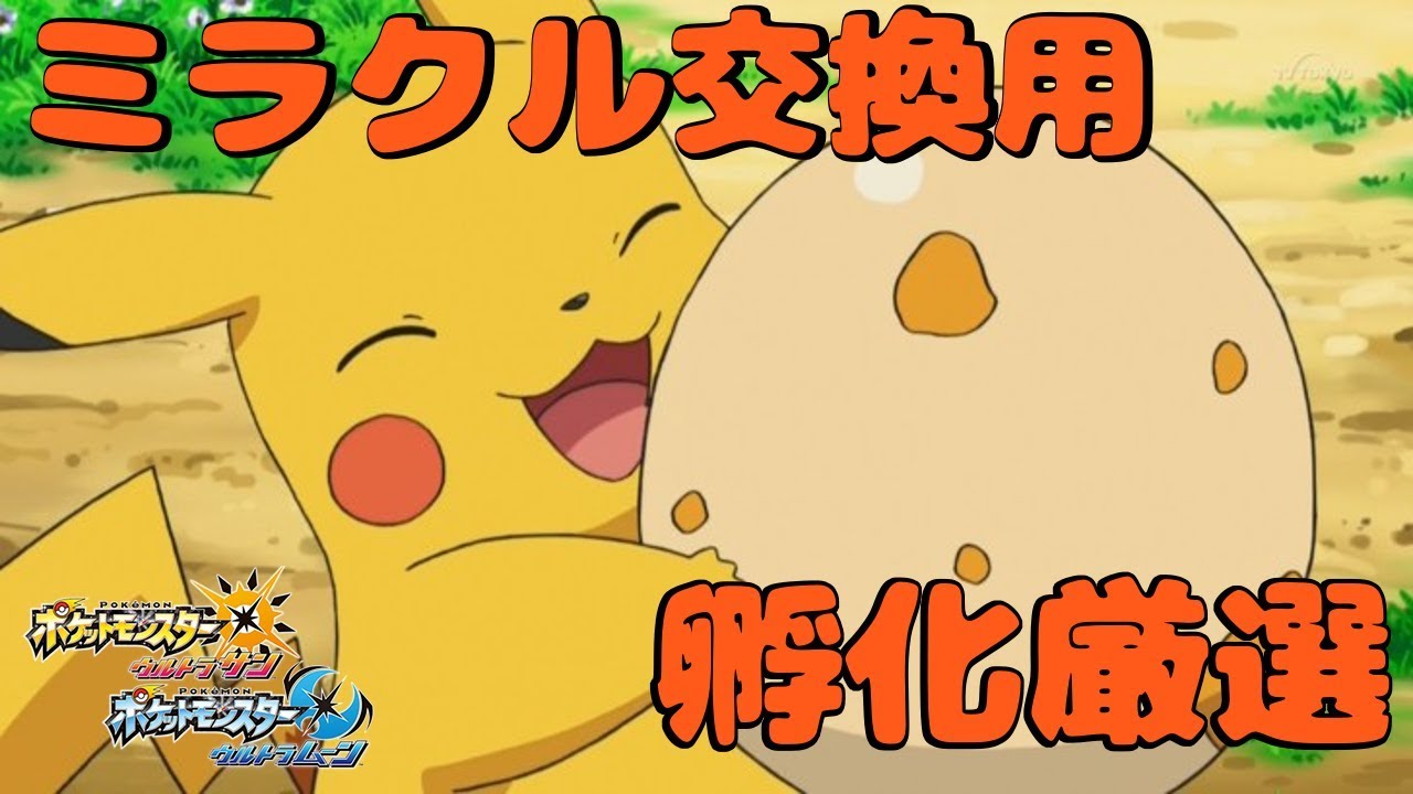 夢ポカブ孵化雑談！1/6にミラクルやります