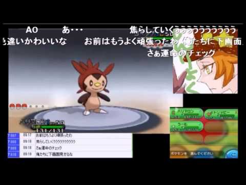【ポケモンXY】　かにゅー　15匹目の色ハリマロンを産むが、その個体値は・・・？