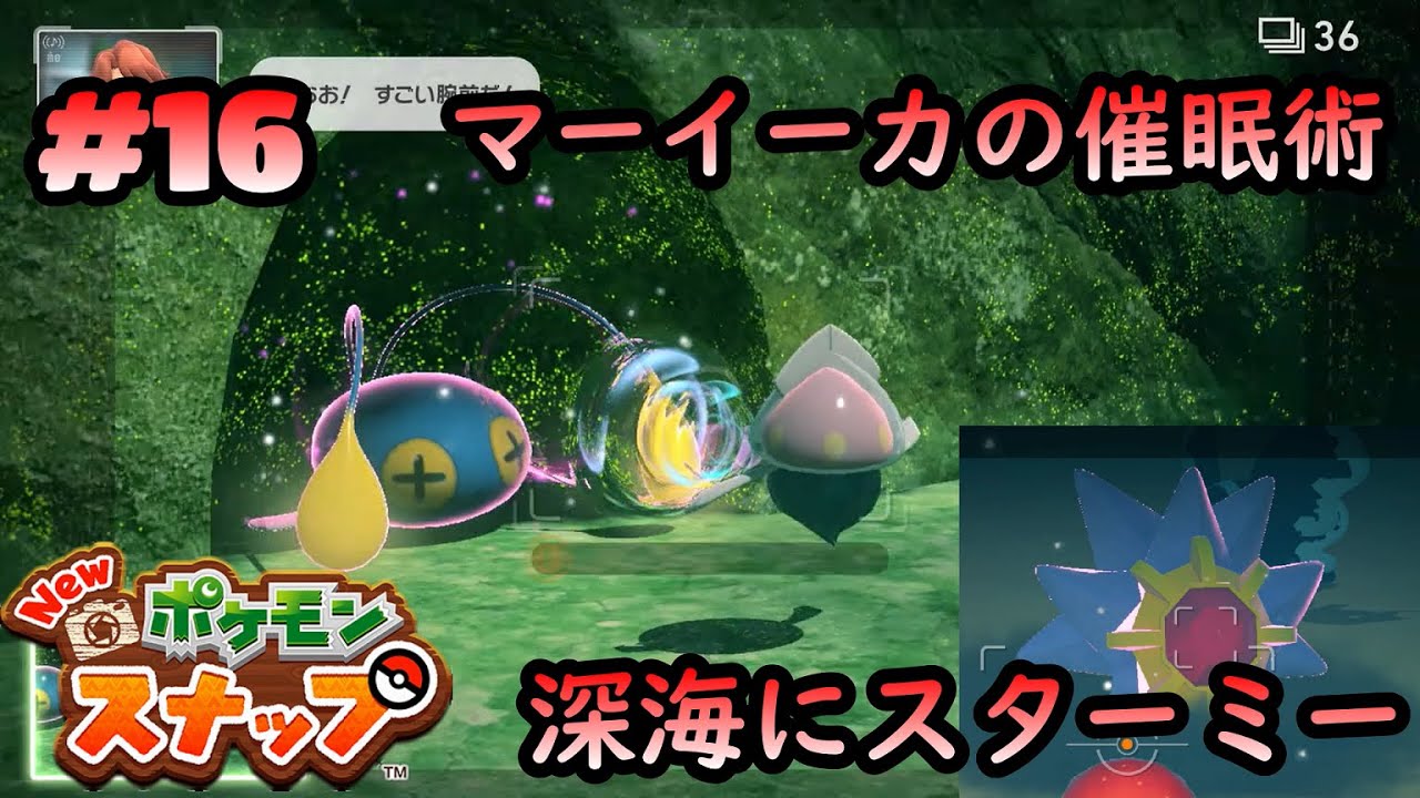 コータの【ポケモンスナップ】#16 マーイーカとチョンチーは仲が悪い？