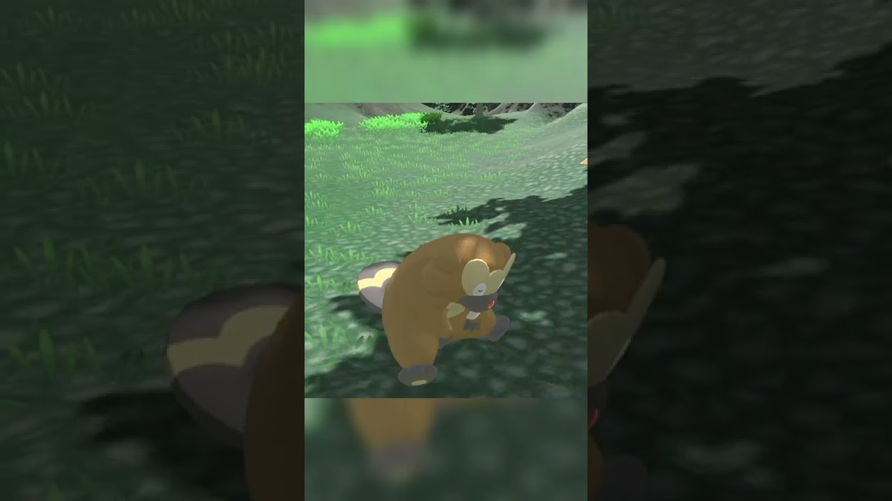 寝ているビーダル【ポケモンレジェンズアルセウス Pokémon Legends Arceus 】#shorts #ポケモンレジェンズアルセウス #pokemonlegendsarceus
