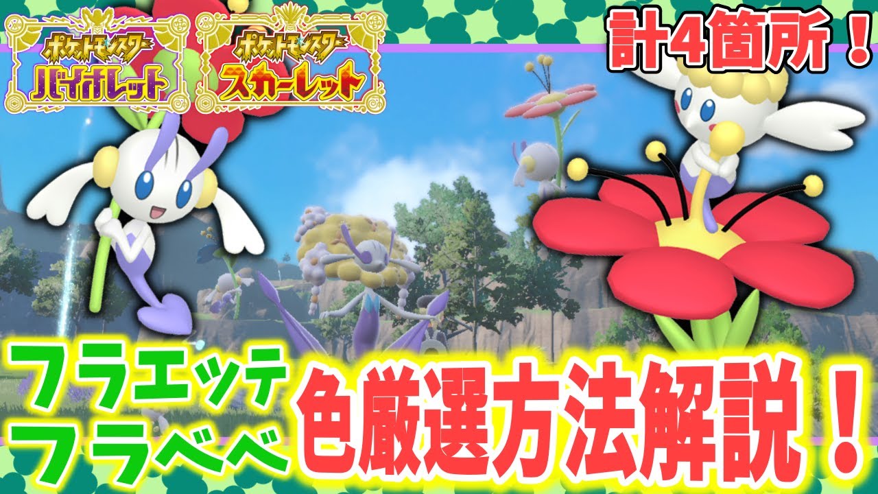 全花色の色違いコンプ勢による色フラベベ/色フラエッテ厳選方法解説！【#ポケモンSV】