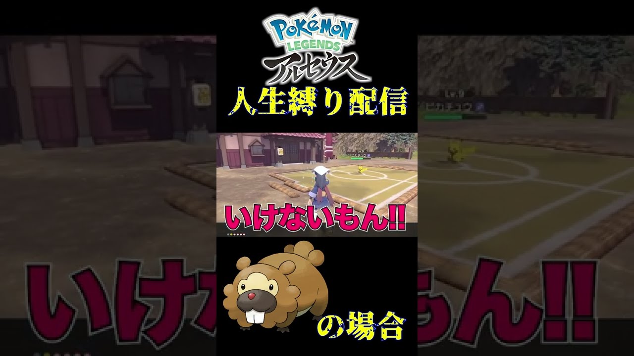 【人生縛り】ビッパの場合【Pokémon LEGENDS アルセウス】 #shorts #ポケモン #生配信 #女性実況者 #初見プレイ #アルセウス #ビッパ #ゲーム実況