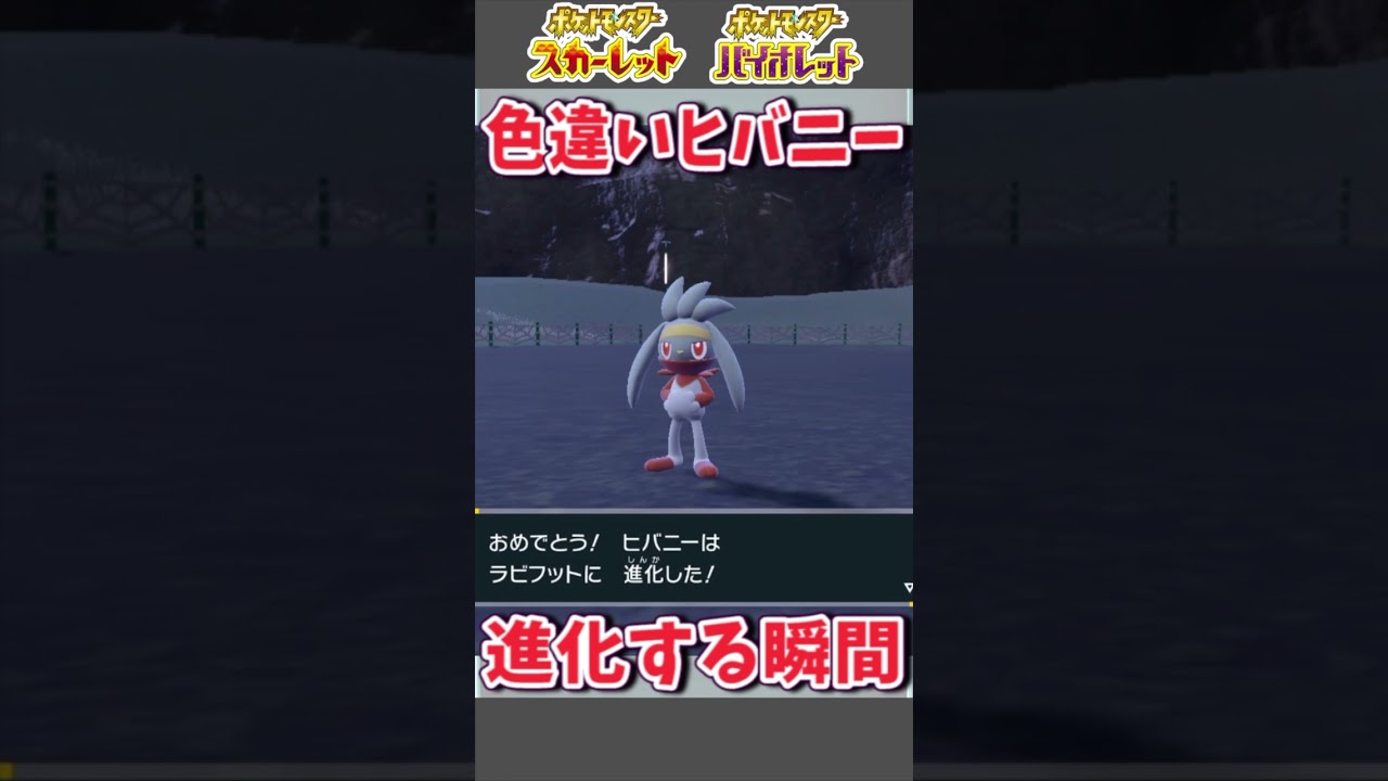 色違いヒバニーが進化する瞬間。【ポケットモンスタースカーレット・バイオレット】