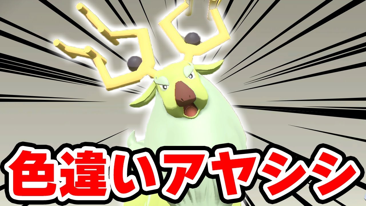 色違いアヤシシを手に入れる男【ポケモンレジェンズアルセウス】