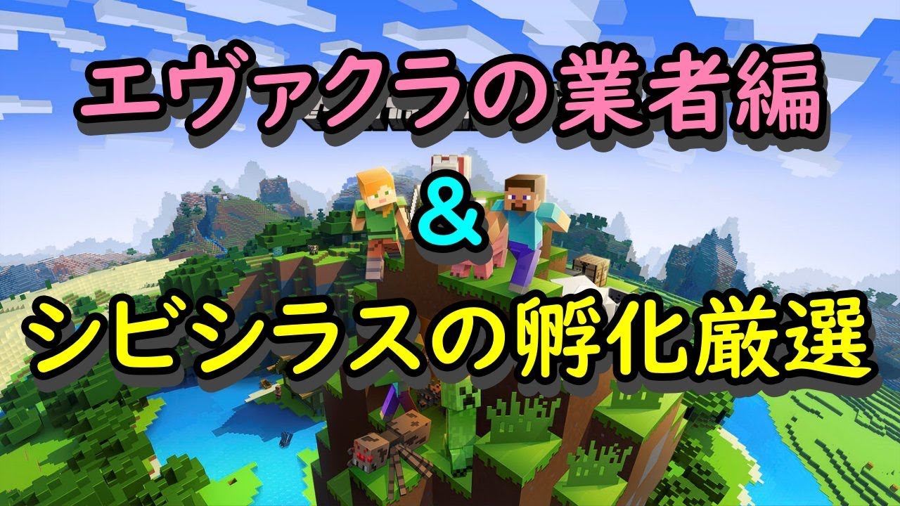 エヴァクラ 村探し編 (尚汰工務店) & シビシラスの色孵化厳選(ワイプ) 【Minecraft】