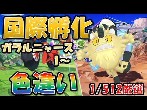 【ポケモンSV】国際孵化色違い厳選　ガラルニャース　１～　１日目