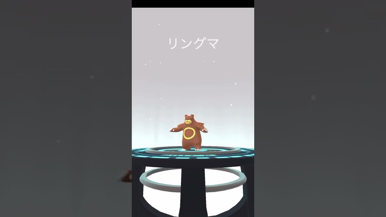 ポケモンgo pokemon ヒメグマ→リングマ→ガチグマ　進化　満月　#shorts