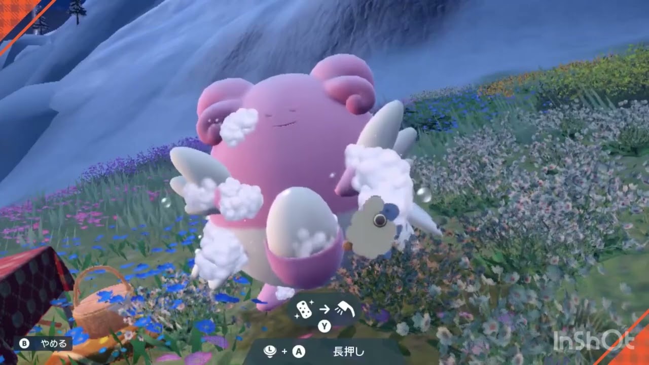 ピンプクちゃんラッキーちゃんハピナスちゃんとピクニック✨可愛すぎる(*´д｀*)ﾊｧﾊｧ   ポケモンSV PokemonSV