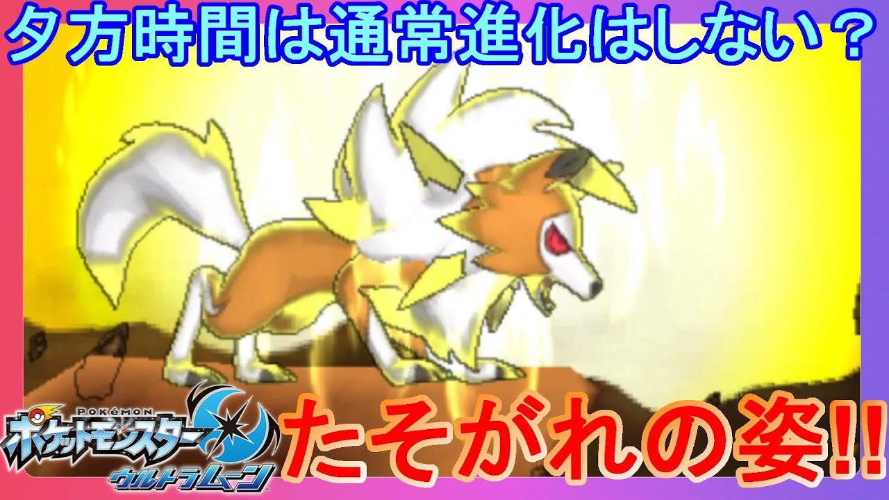 たそがれのすがたは美しかった！特別なイワンコでルガルガンZ使ってみた！【ポケモンウルトラサンムーン】